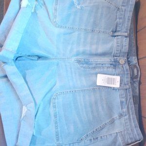 torrid shorts 20plussize